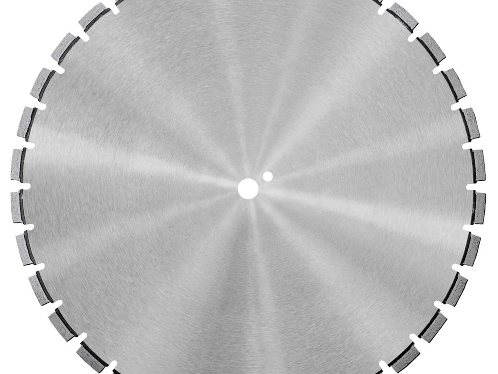 Deimantinis diskas SAMEDIA BFM 600x25,4 mm.