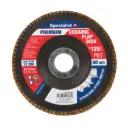 Flap sanding disc 125 mm, P60, Ceramic PREMIUM, SPECIALIST+