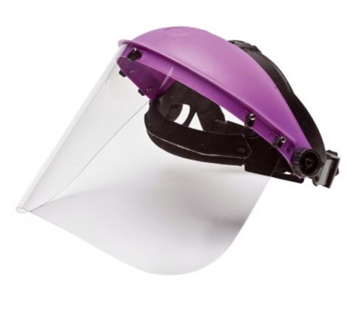 Protective shield with a holder