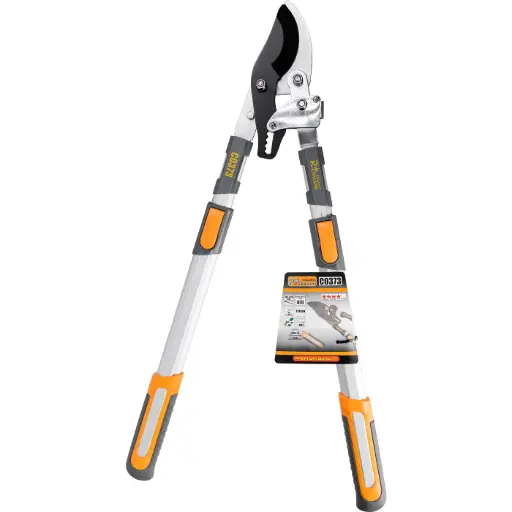 [42-C0373] Telescopic branch loppers, RICHMANN